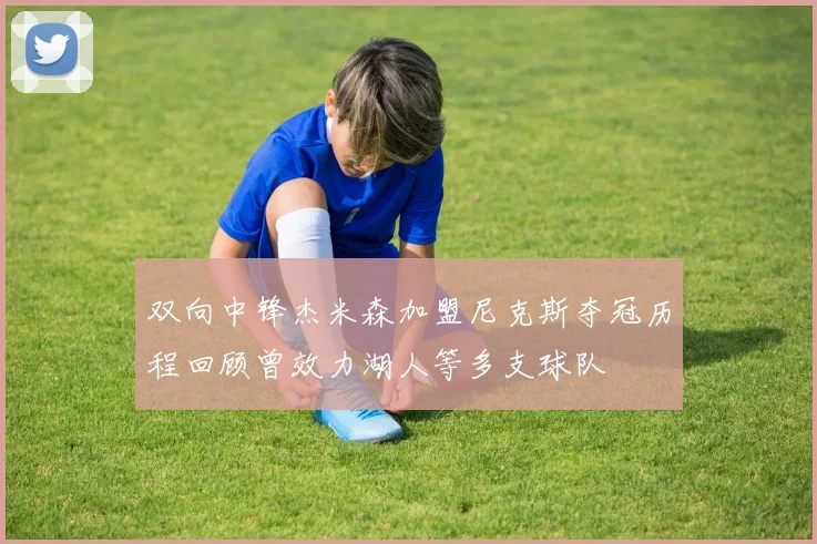 双向中锋杰米森加盟尼克斯夺冠历程回顾曾效力湖人等多支球队